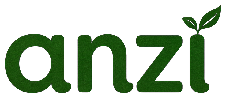 anzi